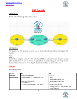 BGP AS-Override.pdf